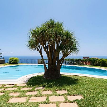 Vila Eucalipto By An Island Apart Funchal  Eksteriør bilde