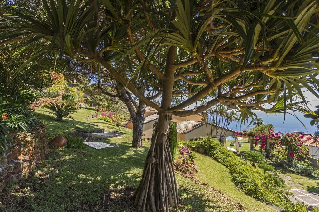 Vila Eucalipto By An Island Apart Funchal  Eksteriør bilde